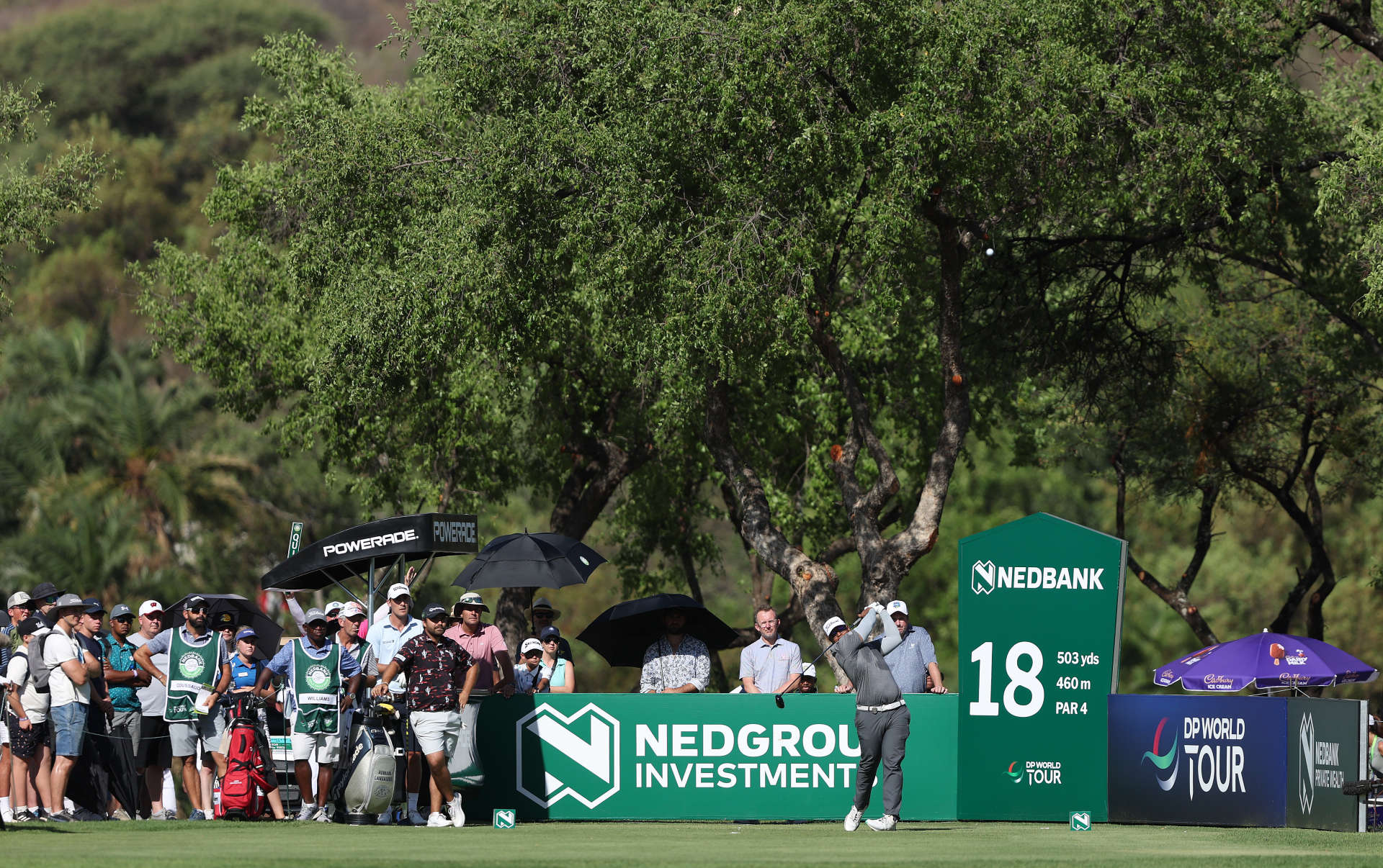 SUN CITY, SOUTH AFRICA - DECEMBER 06: Robin Williams of South Africa tees off on the 18th hole on Day Two of the Nedbank Golf Challenge 2025 at Gary Player CC on December 06, 2024 in Sun City, South Africa. (Photo by Warren Little/Getty Images)