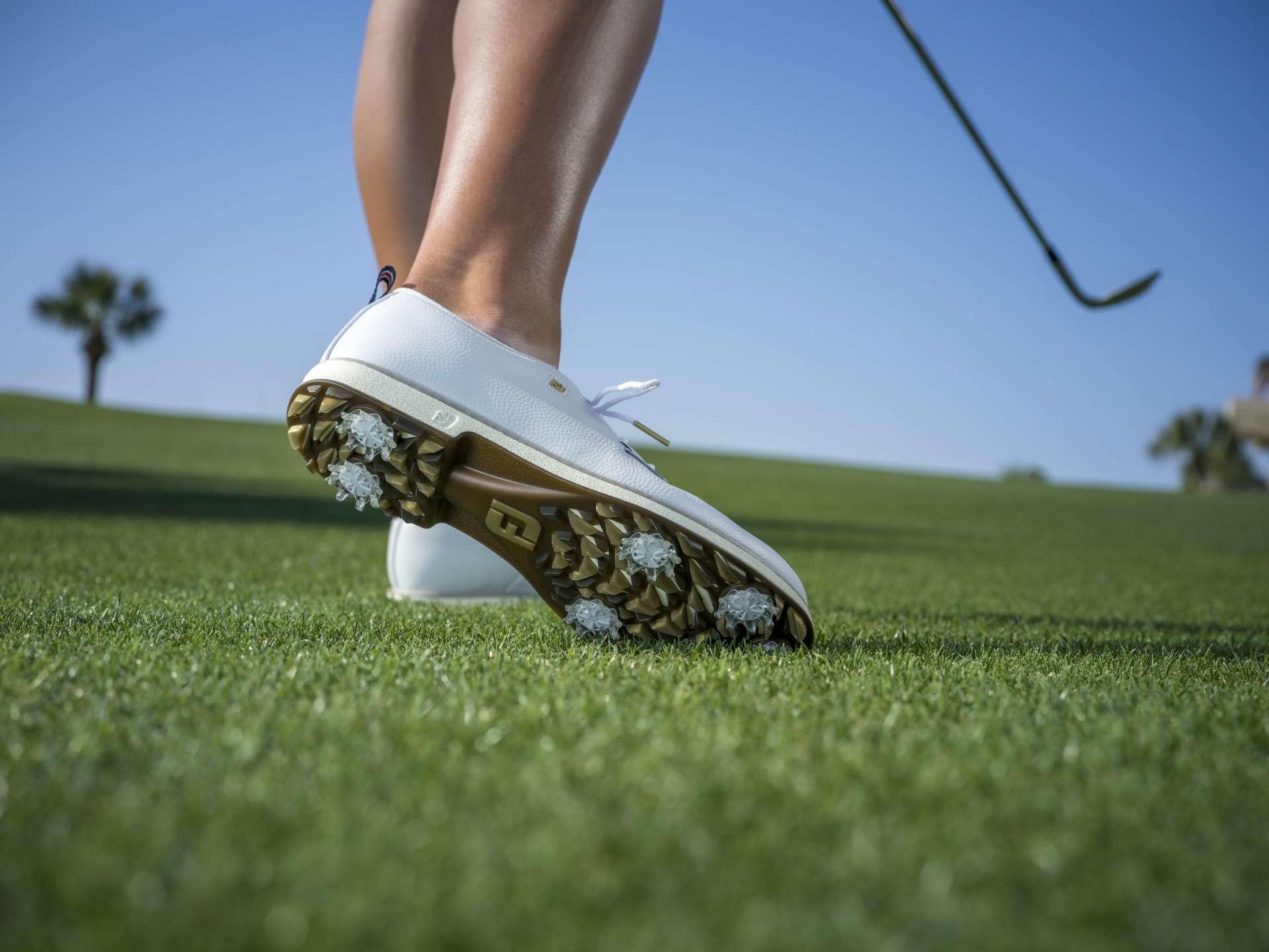 Premiere Series Cypress in Weiß/Gold (UVP: 210 €)