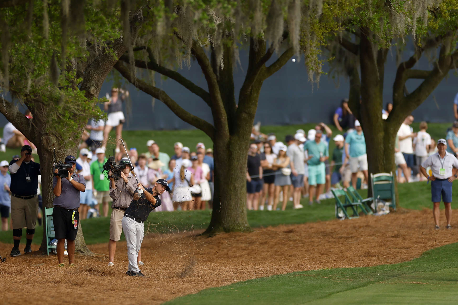 PONTE VEDRA BEACH, FLORIDA - MARCH 17: Brian Harman of the United States plays a shot out of the pine straw on the 18th hole during the final round of THE PLAYERS Championship at TPC Sawgrass on March 17, 2024 in Ponte Vedra Beach, Florida. (Photo by Mike Ehrmann/Getty Images)