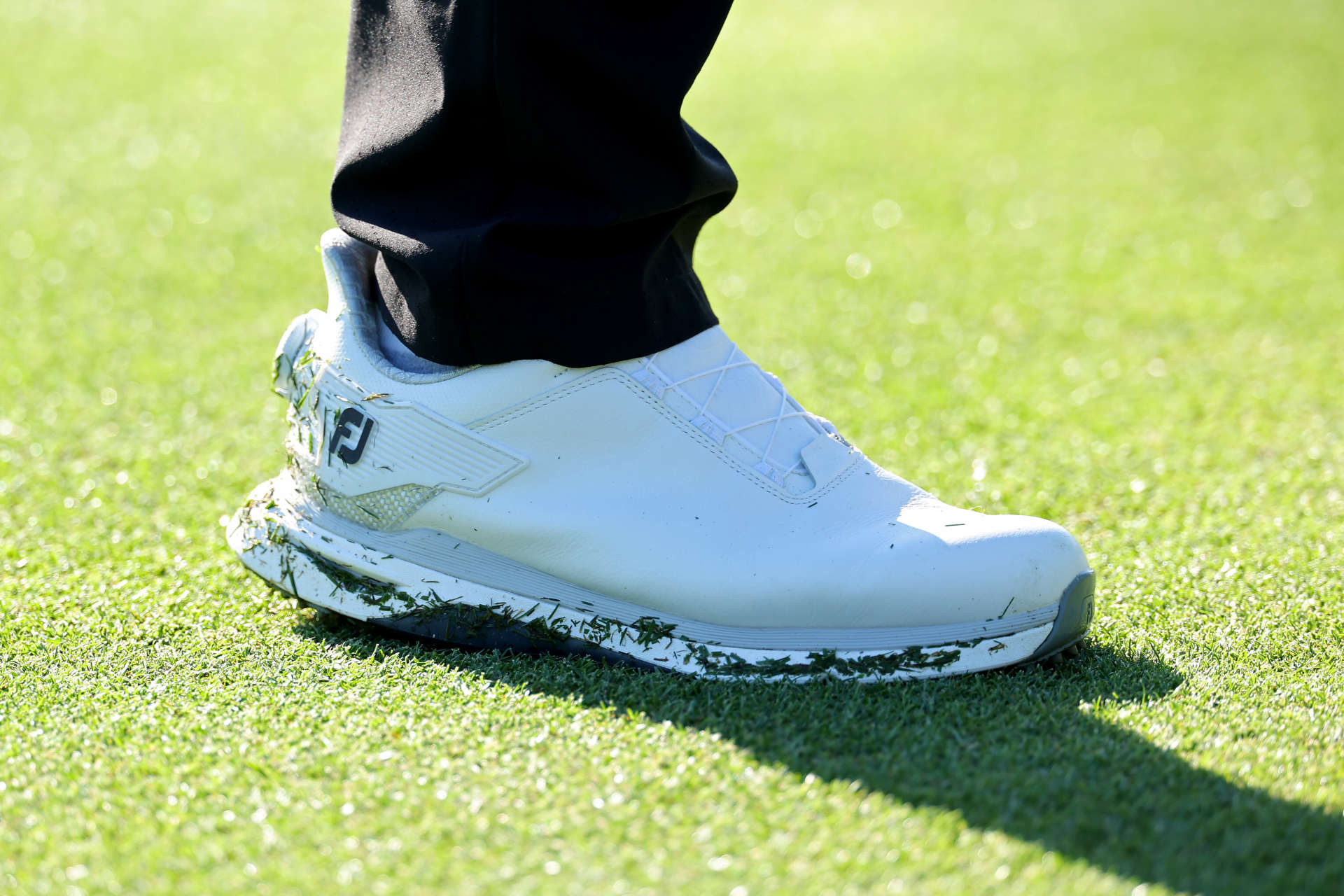 PONTE VEDRA BEACH, FLORIDA - MARCH 14: Sungjae Im of Korea shoes are see on the fourth tee during the first round of THE PLAYERS Championship on the Stadium Course at TPC Sawgrass on March 14, 2024 in Ponte Vedra Beach, Florida. (Photo by Kevin C. Cox/Getty Images)