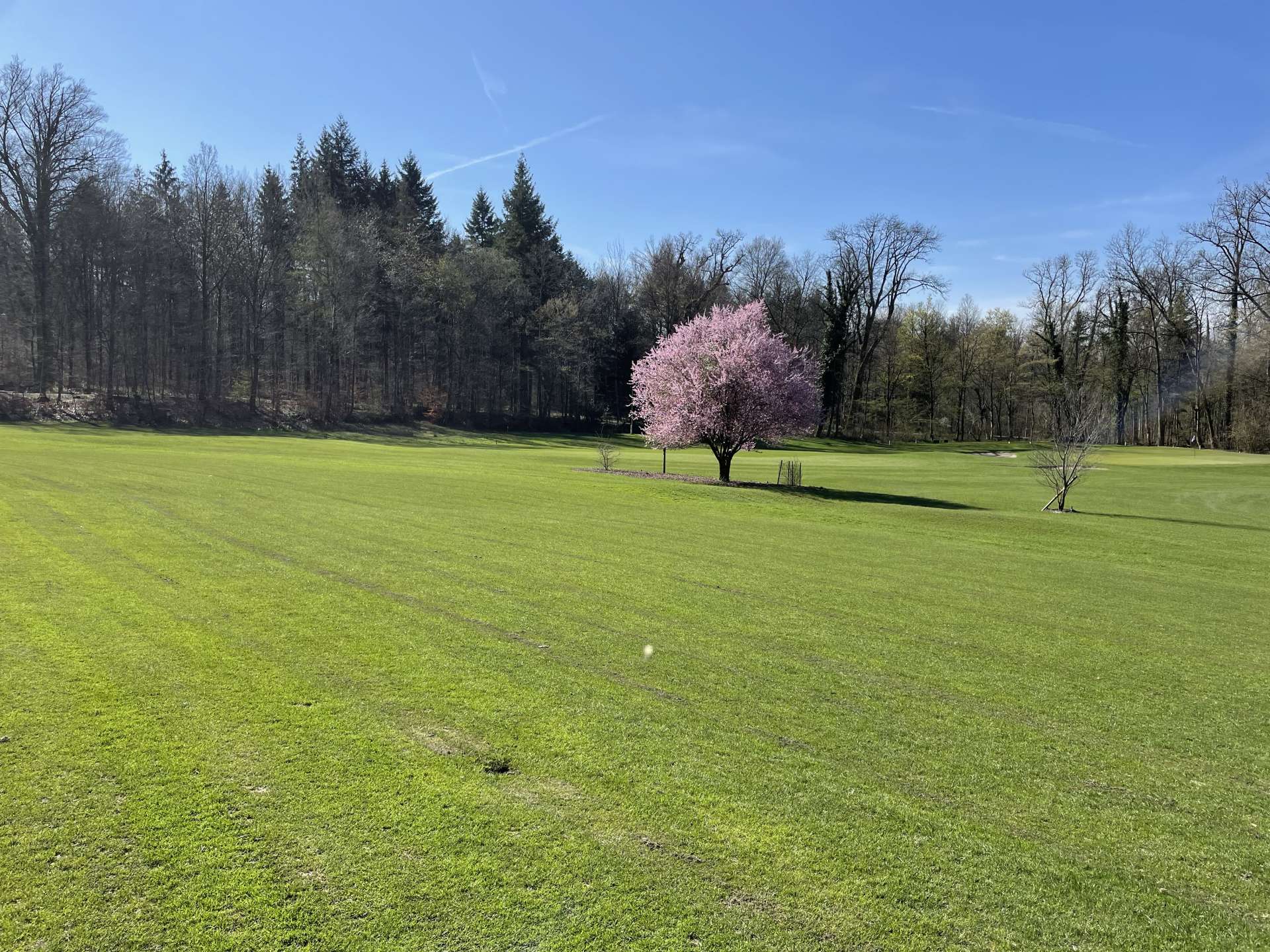 Fairway 2 und im Hintergrund Loch 3