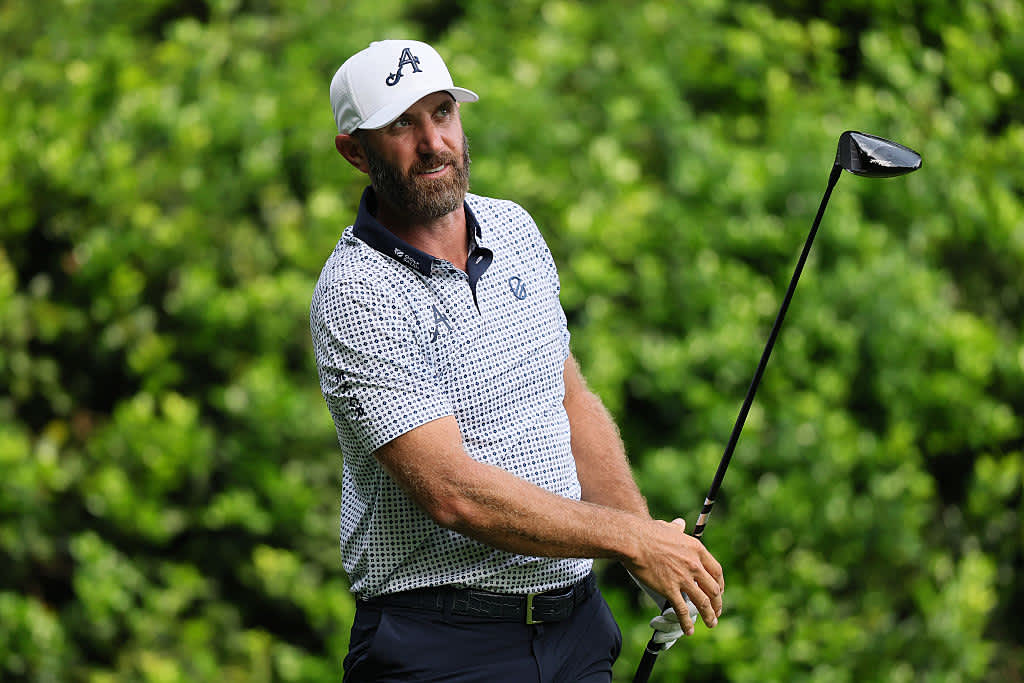 Dustin Johnson: +12