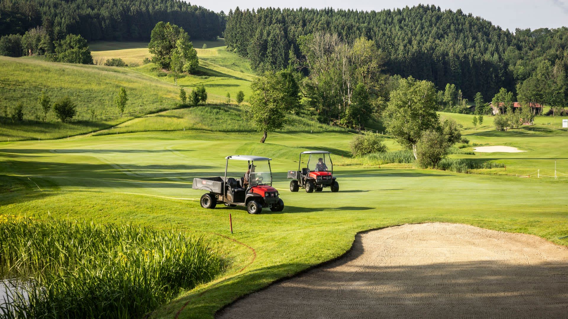 (FOTO: Jan Hetfleisch)