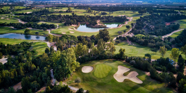 Golf Citrus