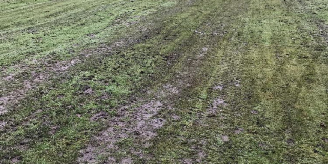 Muddy tracks on golf courses