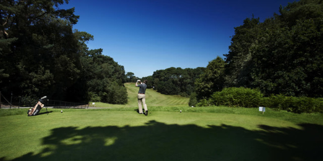 Golf Club Visitor