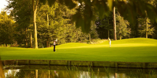 Forest Pines