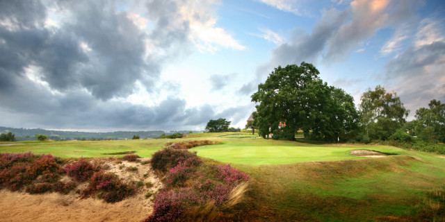 Reigate Heath