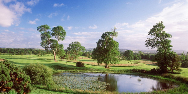 Roe Park