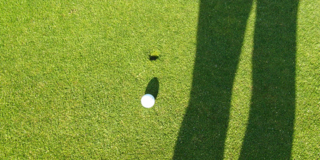 Golf Pitch Marks