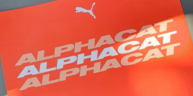 PUMA AlphaCat