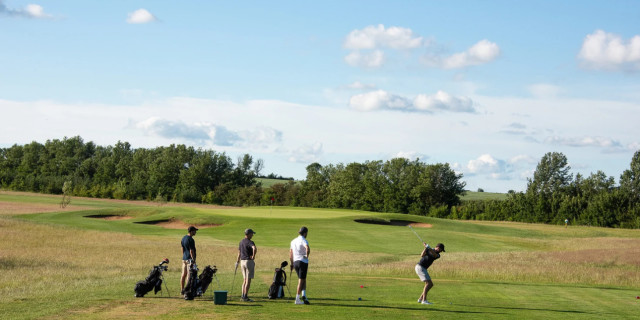 Golfers Ruin Scorecards