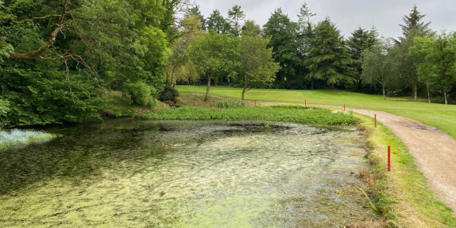 Bowood Park Hotel & Golf Club Review