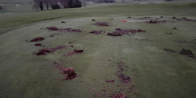 How to stop golf course vandalism