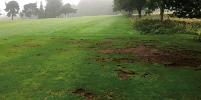 Why Does My Course Look Like This?