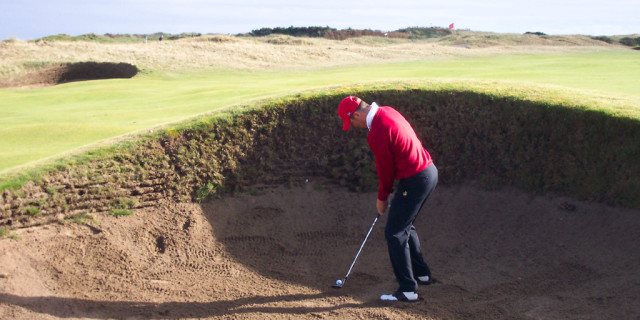 Which Category of Golfer Best Describes You
