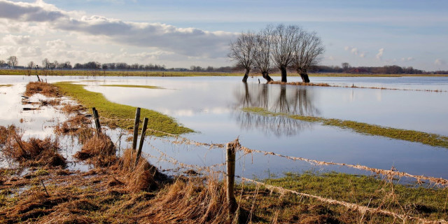 Golf Course Flooding
