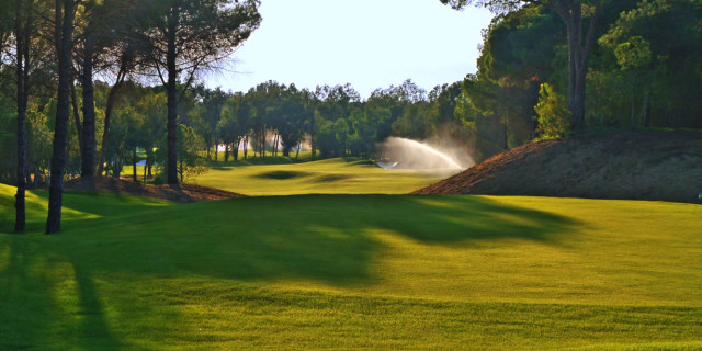 Golf Course Parts - 5 Major Components - Costa Del Sol Golf Club