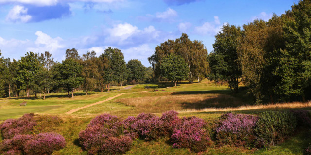 Royal Ashdown Forest