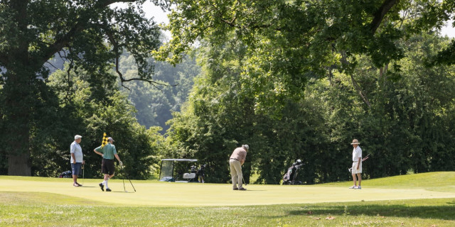 What Does The Average Golfer Look Like