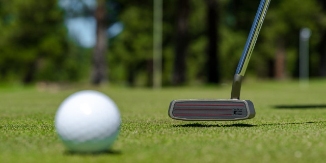 Cobra MIM Putter Family