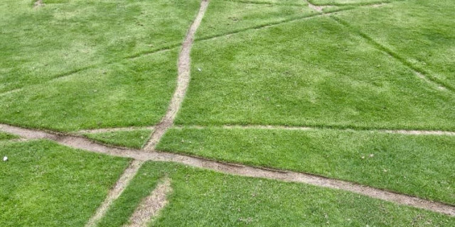 Dartmouth Golf Damage