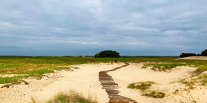 Prince's to Renovate Shore and Dunes Nines