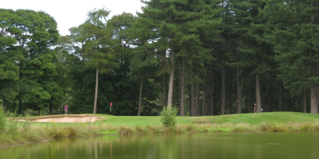 Bewdley Pines