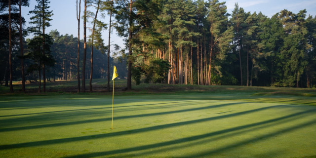 Sunningdale Heath