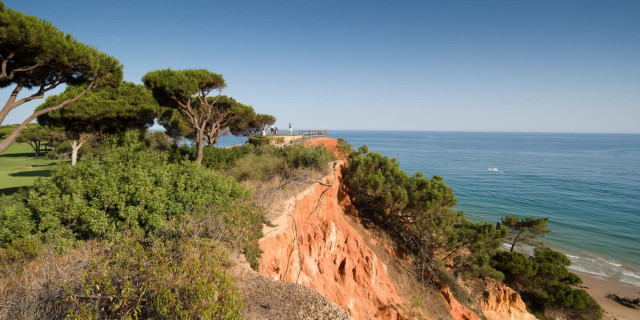 Pine Cliffs