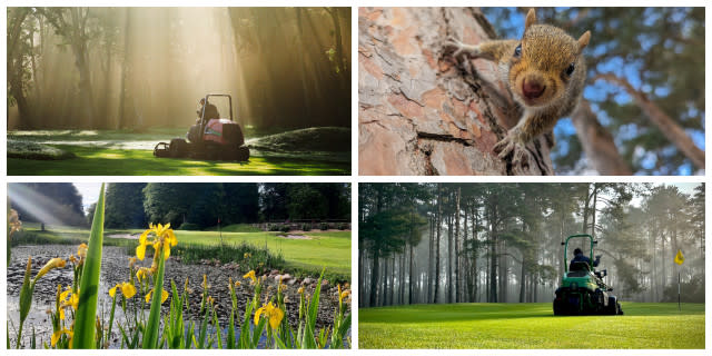 Discover Some of 2024's Best Golf Photos