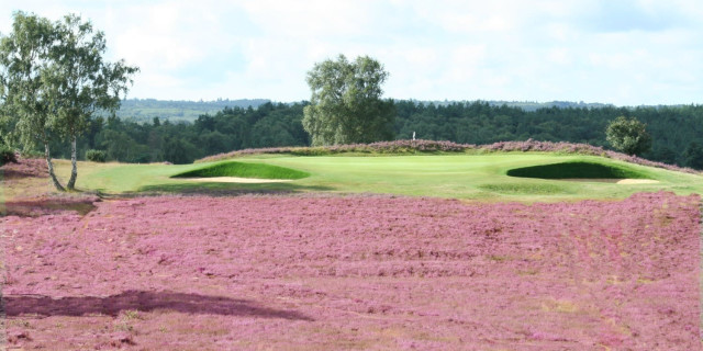 Hankley Common