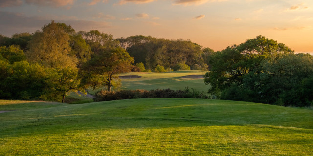 Golf Club Essentials