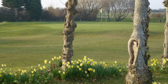 Selsey Golf Club Feature Review