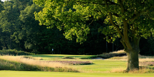Alwoodley Golf Club Feature Review