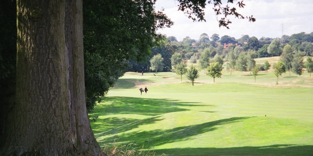 The Warwickshire