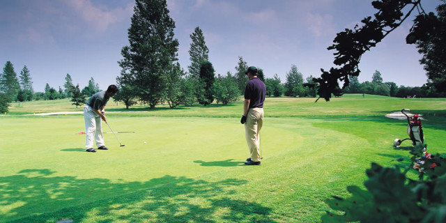 Amateur Golfers