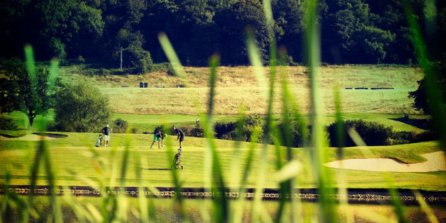 Golfers Playing