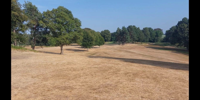 Sandiway