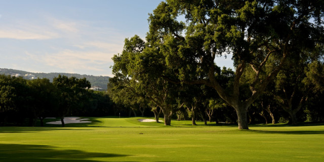 Why Established Tour Venues Are Defecting to LIV Golf - Vimarsana News