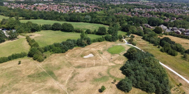 Hart Common