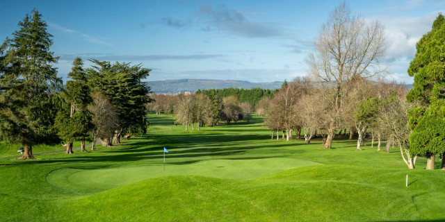 Limerick Golf Club