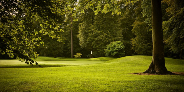 Mount Juliet