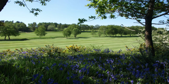 Disley