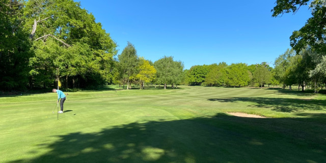 Falling in Love With Golf Again