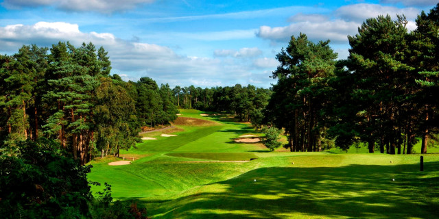 Camberley Heath