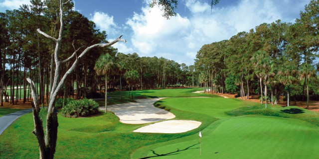 Sawgrass