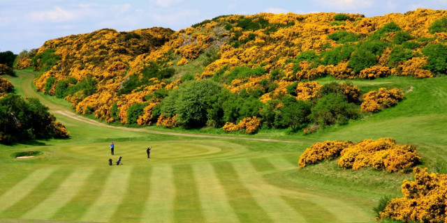 486,000 Net Birdies or Better Tracked During Golfshake #BirdieClub