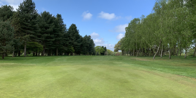 Golf Club Course