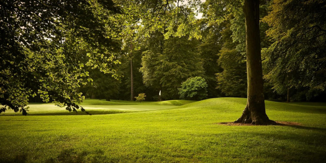 The Irish Open Could Be Played Behind Closed Doors